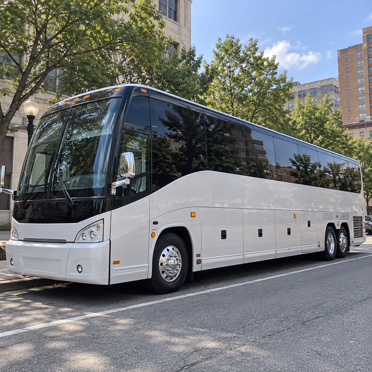 youth group and homeschool co op field trip transportation in hoover